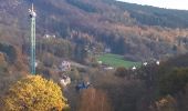 Trail Walking Stavelot - 20201110 - Coo 7.5 Km - Photo 13