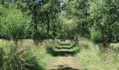 Tour Wandern Trooz - A la découverte de Nessonveaux 🥾 - Photo 10