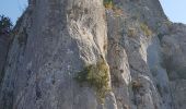 Excursión Senderismo Valflaunès - 34- Valflaunes - crêtes de l Hortus et Château de Vivioures - Photo 4