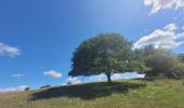 Tour Wandern Meix-devant-Virton - rando gerouville 6-07-2023 - Photo 9