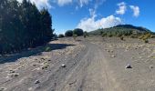Trail Walking El Pinar de El Hierro - Hoya del Morcillo - Pico Malpaso (El Hierro) - Photo 14