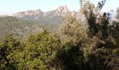 Percorso Marcia Roquebrune-sur-Argens - Les 25 ponts-Roquebrune sur Argens-28-01-22 - Photo 6