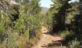 Trail Walking Fuilla - fuilla (66) - Photo 6
