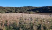 Tour Wandern Le Bosc - Saint-Alban - Célis - La Roque  - Photo 19