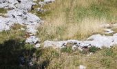 Excursión Senderismo Entremont-le-Vieux - la Plagne le Pinet :en boucle partielle à  partir de la bifurcation GR9 et montée au Pinet - Photo 6