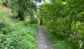 Trail Walking Seneffe - Feluy 22 km - Photo 4