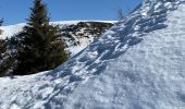 Tocht Sneeuwschoenen Theys - Pipay Col du Merdatet - Photo 3