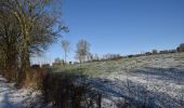 Tocht Stappen Thimister-Clermont - Thimister : Balade de la Bettefontaine à la Bèfve - Photo 11