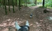 Tocht Paardrijden Habay - Forêt de Rulles - Photo 13