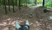 Tour Reiten Habich - Forêt de Rulles - Photo 13