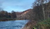 Tour Wandern Comblain-au-Pont - comblain-au-pont, pont de sçay . oneux .  sur lawé  . retour le long de l ourthe  - Photo 8