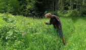 Trail Walking Saint-Martin-en-Vercors - Pas st Martin - Photo 7