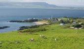 Trail On foot Inishowen Municipal District - Inishowen Head Walk - Photo 6