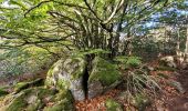 Trail Walking Pélussin - croix de Montvieux château Belize - Photo 1