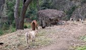 Tocht Stappen Unknown - boucle aguada de chã de pedras - Photo 8