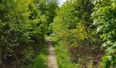 Tocht Stappen Viroflay - La Celle St Cloud depuis Viroflay - Photo 9