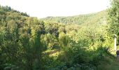 Trail Walking Houffalize - Philippe mardi - Photo 4