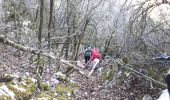 Trail Walking Rochefort-Samson - Les Vachères - Combe d'oyans  - Photo 4
