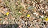 Trail Walking Venasque - venasque - col de murs - Photo 7