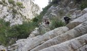 Trail Walking Évenos - Gorge du Destel - Photo 10