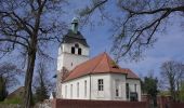 Randonnée A pied Kloster Lehnin - Baumkreis-Wanderweg - Photo 10