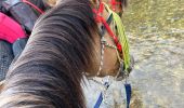 Trail Horseback riding Hériménil - Herimenil baignade Tivio Kenzo tiboy  - Photo 3