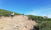 Excursión Senderismo Belgodère - les hauteurs de lozari (départ plage de Lozari) - Photo 4