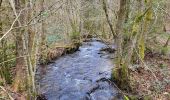 Trail Walking Bouillon - Cornimont 100324 - Photo 3