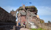 Tocht Stappen Saverne - Saverne et ses châteaux  - Photo 3