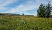 Tour Wandern Orcival - boucle du Puy de l Ouire - Photo 1