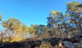 Trail Walking Maasmechelen - reserve naturel hoge kempen - Photo 1