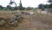 Randonnée Vélo de route La Couarde-sur-Mer - 2019-07-11 la couarde - ars - phare des baleines par marais - retour st clément - ars - la couarde - Photo 1