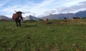 Tour Wandern Arbéost - Le lac de Soum - Photo 5