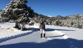 Randonnée Raquettes à neige Les Angles - Pla del mir lac d’aude bis  - Photo 5