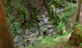 Randonnée A pied Gemeinde Mitterbach am Erlaufsee - Erlaufsee - Brunnsteinalm - Photo 3