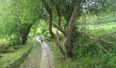 Tocht Stappen Sarria - Sarria Portomarin  - Photo 15