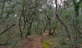 Tour Wandern Grignan - Grignan Rochecourbière Chamaret 18km. - Photo 6