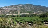 Tour Wandern Malaucène - Rand'eau gorges du toulourenc - Photo 1