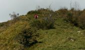 Trail Walking Bilhères - BILHERES en OSSAU pic des escurets G3 - Photo 8