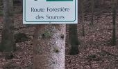 Trail Walking Villers-sous-Chalamont - Villers-Sous-Chalamont Route des sources  - Photo 6