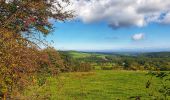 Trail Walking Beauraing - Balade à Froidfontaine - Beauraing - Photo 9