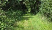 Trail Walking La Chapelle-Enchérie - La Chapelle-Enchérie - Les Haies - Photo 10