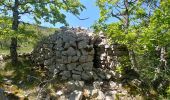 Tocht Stappen Cipières - gourdon cavilore - Photo 2