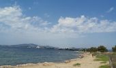 Tocht Stappen La Londe-les-Maures - les vieux salins - Photo 1