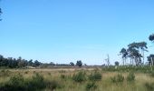 Trail Walking Kalmthout - Kalmthoutse Heide - Photo 2