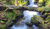 Tour Wandern Rimbach bei Masmünster - Rimbach - lacs du Neuweiher et des Perches par Rouge Gazon - Photo 2