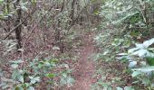 Trail Walking Cabrières - 30 gardon bois des coufines - Photo 11