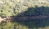 Tocht Stappen Vianden - vianden  .  bivels  .  vianden - Photo 13