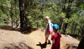 Tour Zu Fuß El Paso - Wikiloc - Caldera de taburiente Los Brecitos to Parking Barranco de las Angustias - Photo 20