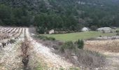 Trail Walking Soubès - Soubes - Mas Rouquet - Photo 10